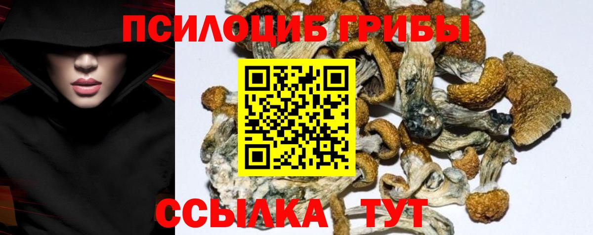 Псилоцибиновые грибы ЛСД Вятские Поляны